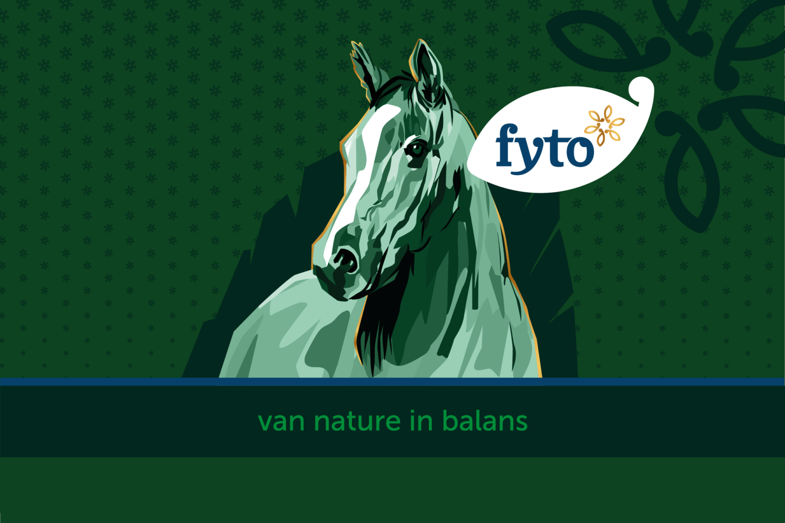 fyto horsefeed