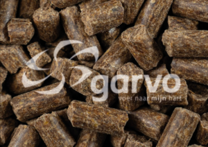 Garvo Test Panel Vegetarian Dog Food